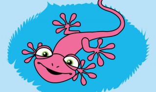 壁虎咬人吗?有毒吗 壁虎的介绍