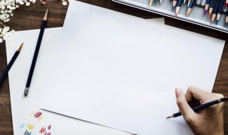 纸的历史简介 纸的历史简介是怎样的