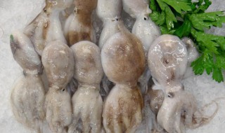 如何清洗章鱼 章鱼如何清洗