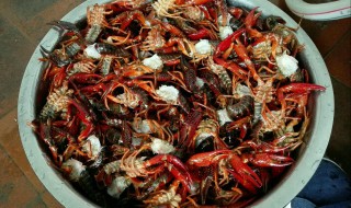 如何清洗大龙虾 大龙虾如何清洗