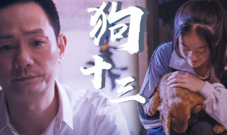 狗十三电影简介 狗十三电影介绍