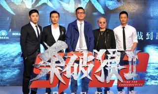 电影杀破狼2简介 电影杀破狼2介绍