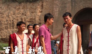 百鸟朝凤电影简介 有关百鸟朝凤的剧情