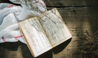 列那狐的故事作者简介 列那狐的故事简介