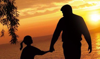 爸爸我想你电影的简介 爸爸我想你电影的简资料