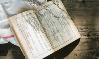 伍子胥的故事简介 关于伍子胥的故事介绍