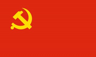 党的历史简介500字 党的历史简介内容500字