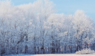 雪的由来简介 雪的由来介绍