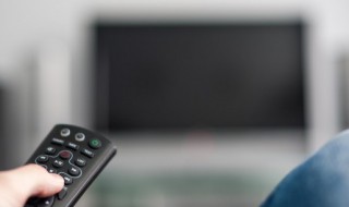 我们的爱故事简介 我们的爱内容简介