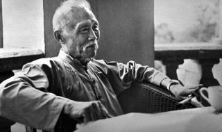 徐特立简介 徐特立是谁