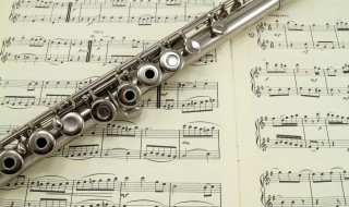 edelweiss歌词 edelweiss歌曲简介