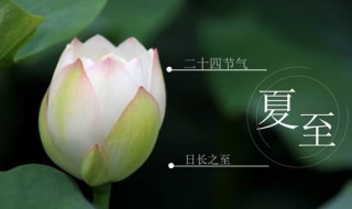 二十四节气夏至 夏至的简介