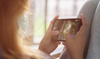 陆行鸟的位置在什么地方 陆行鸟的相关知识