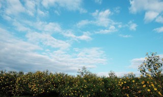 天空之城李志歌词 天空之城李志歌曲简介