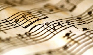 呼喊你的名字歌词 歌曲呼喊你的名字歌词