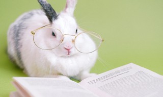 黄旭华的简介 关于黄旭华简介