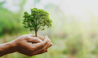 关于低碳环保的资料 关于低碳环保的资料精选