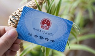 社保怎么网上缴费 社保网上缴费方法