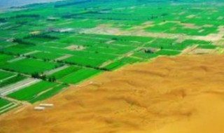 风蚀荒漠化的防治措施 风蚀荒漠化的简介