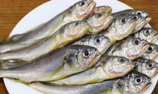 鱼怎么做的好吃 鱼的营养价值