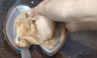 河蚌如何清洗 河蚌怎么清洗