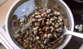 如何清洗田螺 清洗田螺的方法介绍