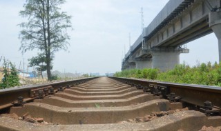 铁轨宽度 铁轨宽度是怎样的