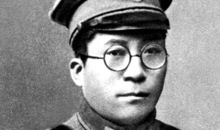 杨虎城简介 杨虎城个人资料介绍