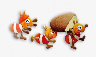 蚂蚁资料 关于蚂蚁的资料