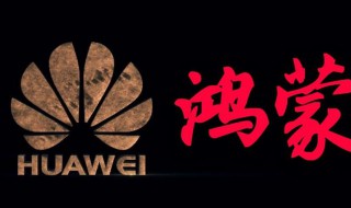 nova5如何升级鸿蒙系统 nova5怎么升级鸿蒙系统