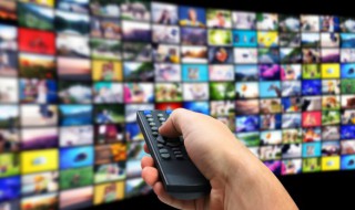 狐狸的夏天第二季剧情介绍 狐狸的夏天第二季剧情简介