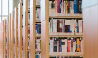 狼王梦推荐理由 狼王梦简介