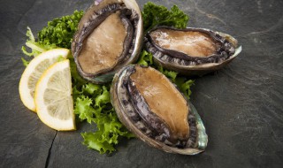 鲍鱼的做法大全家常 鲍鱼的家常做法有哪些