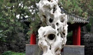 太湖石的资料 太湖石的简介