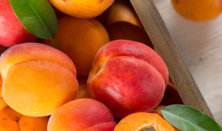 关于水果的文案 水果的文案