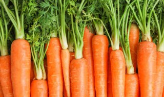 胡萝卜汤的做法大全 胡萝卜汤的烹饪方法