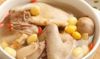 术后鸽子汤的做法 术后鸽子汤怎么做