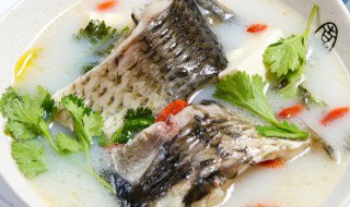 清炖鲶鱼汤的做法 清炖鲶鱼汤做法步骤