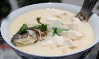 鲫鱼豆腐汤的做法窍门 鲫鱼豆腐汤如何做呢