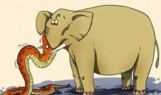 人心不足蛇吞象是什么意思? 人心不足蛇吞象相关释义