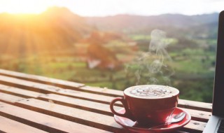 猫屎咖啡是怎么来的? 猫屎咖啡的由来