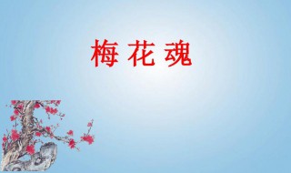 梅花魂的意思 梅花魂的解释
