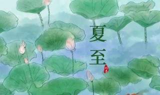 夏至节日吃什么 夏至节日吃的食物