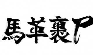 马革裹尸的意思是什么 马革裹尸简单介绍