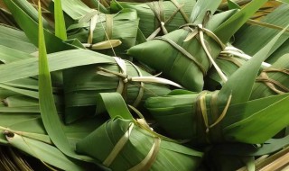 端午节粽子叶用什么叶子 端午节粽子叶材料是什么