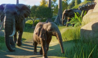 动物园之星解说牌怎么用 动物园之星解说牌的作用