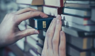 肤施城是现在的哪里 肤施城的简介