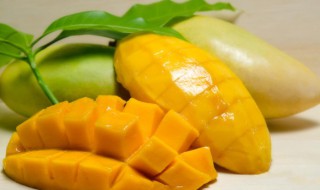 为什么叫小台农芒果 关于小台农芒果名称由来