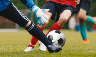 爱奇艺体育预约欧洲杯方法 爱奇艺体育预约欧洲杯的方法