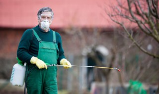 鼻涕虫如何驱除 鼻涕虫去除方法